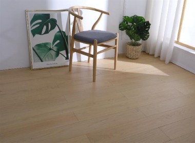 美國(guó)紅橡 江山如畫(huà)