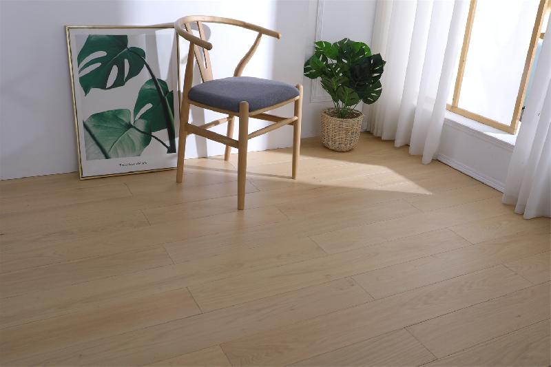 美國(guó)紅橡 江山如畫(huà)